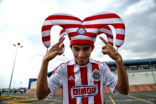 chivas