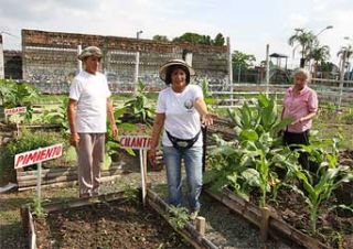 huertos-organicos-familiares