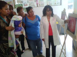 edomex 4-colpo