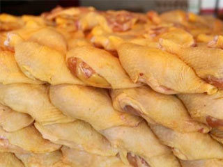 POLLO