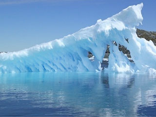 antartico