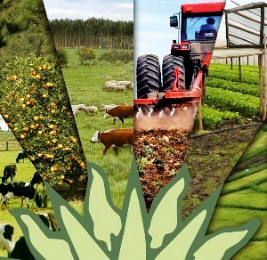 eco-agropecuario