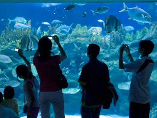 acuario