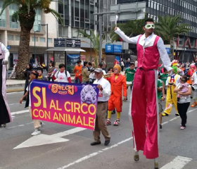 ciudad-circo