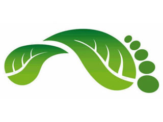 ecologia-web