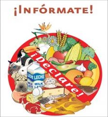 eco-alimento