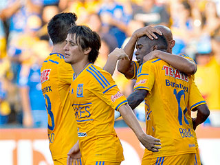 tigre