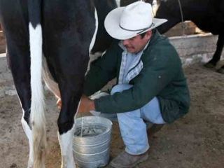 eco-leche