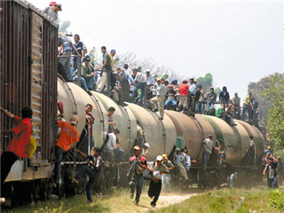 pol-migrantes
