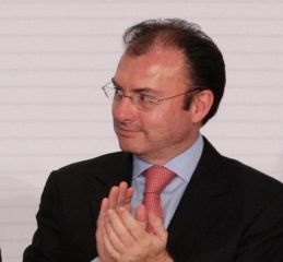pol nal7-videgaray
