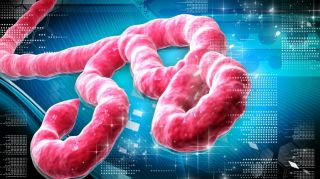 pol-ebola