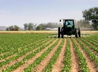 pol-agropecuario