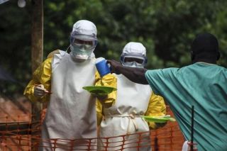 pol ebola