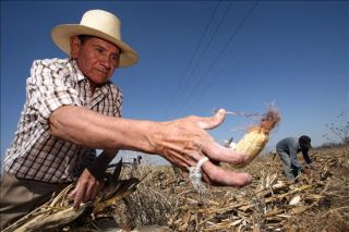 eco-campesino