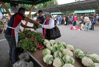 gdf-mercado