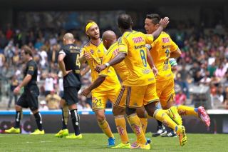 tigres