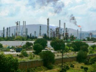 planta
