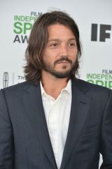 cult-Diego Luna