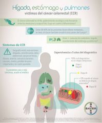 grafica salud