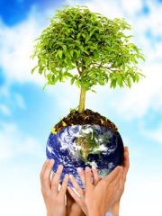 eco-proteccion-naturaleza