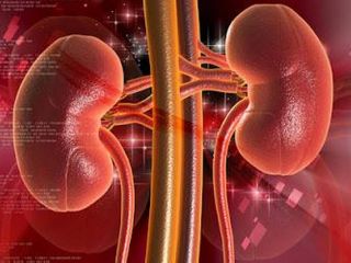 salud-Insuficiencia-Renal