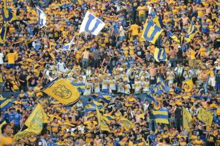 tigres