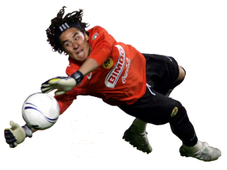 ochoa copy