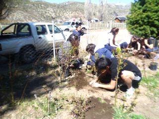 ecologia