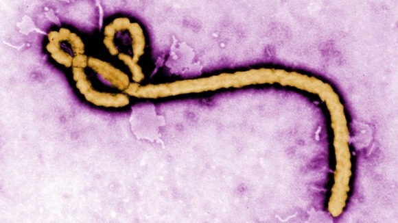 inter-ebola