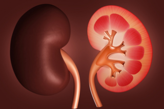 salud-Insuficiencia renal