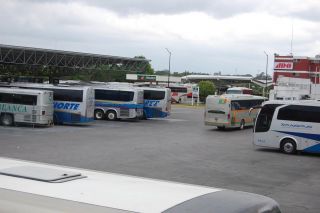 edomex-autobuses