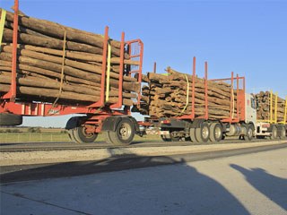madera