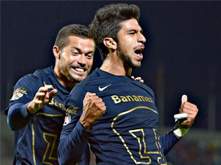 pumas