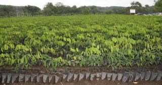 eco-sagarpa