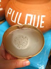 salud-pulques