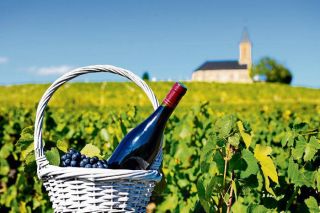 eco-vino
