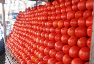inegi productos agropecuarios alza en jitomate