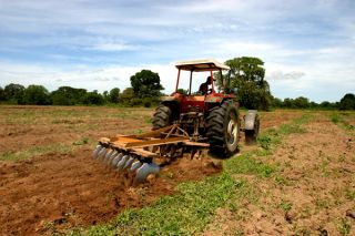 sector-agropecuario