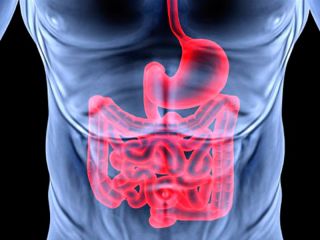 salud-gastrointestinales