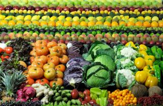 agricolas