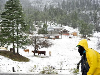 nevadas