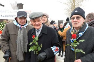 auschwitz-survivors