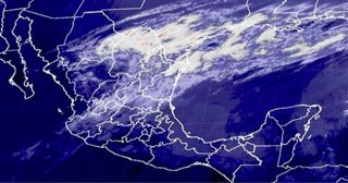 frio