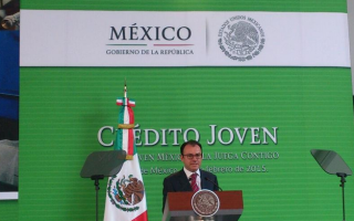 videgaray