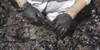 pol petroleo