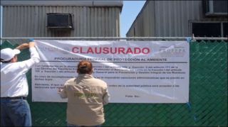 estados profepa