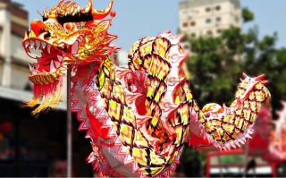 danza leon