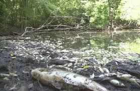 rio atoyac
