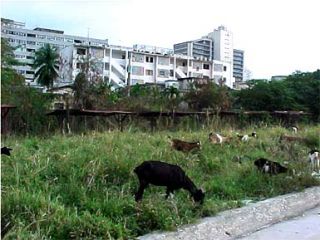 cuba2