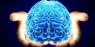 neurocirigia